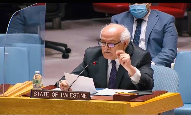 السفير رياض منصور