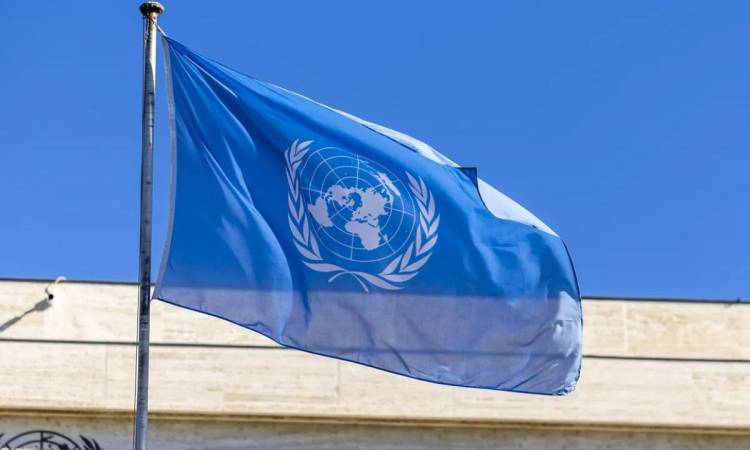 الأمم المتحدة